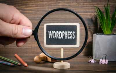 Should You Use WordPress on Your Business Websites?